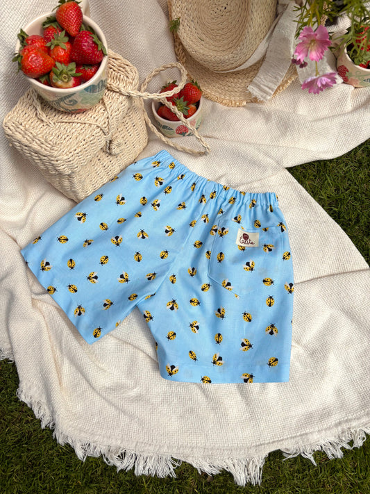 Katica futam bermuda