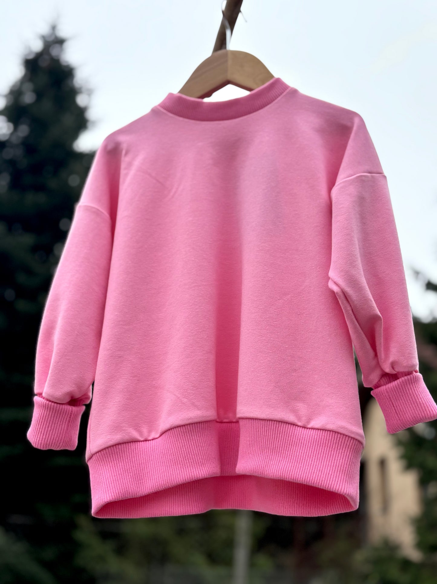 Glittery fairy wing sweater