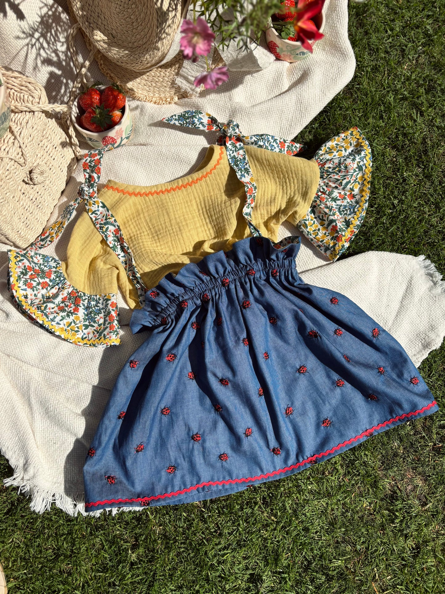 Ladybug top/skirt