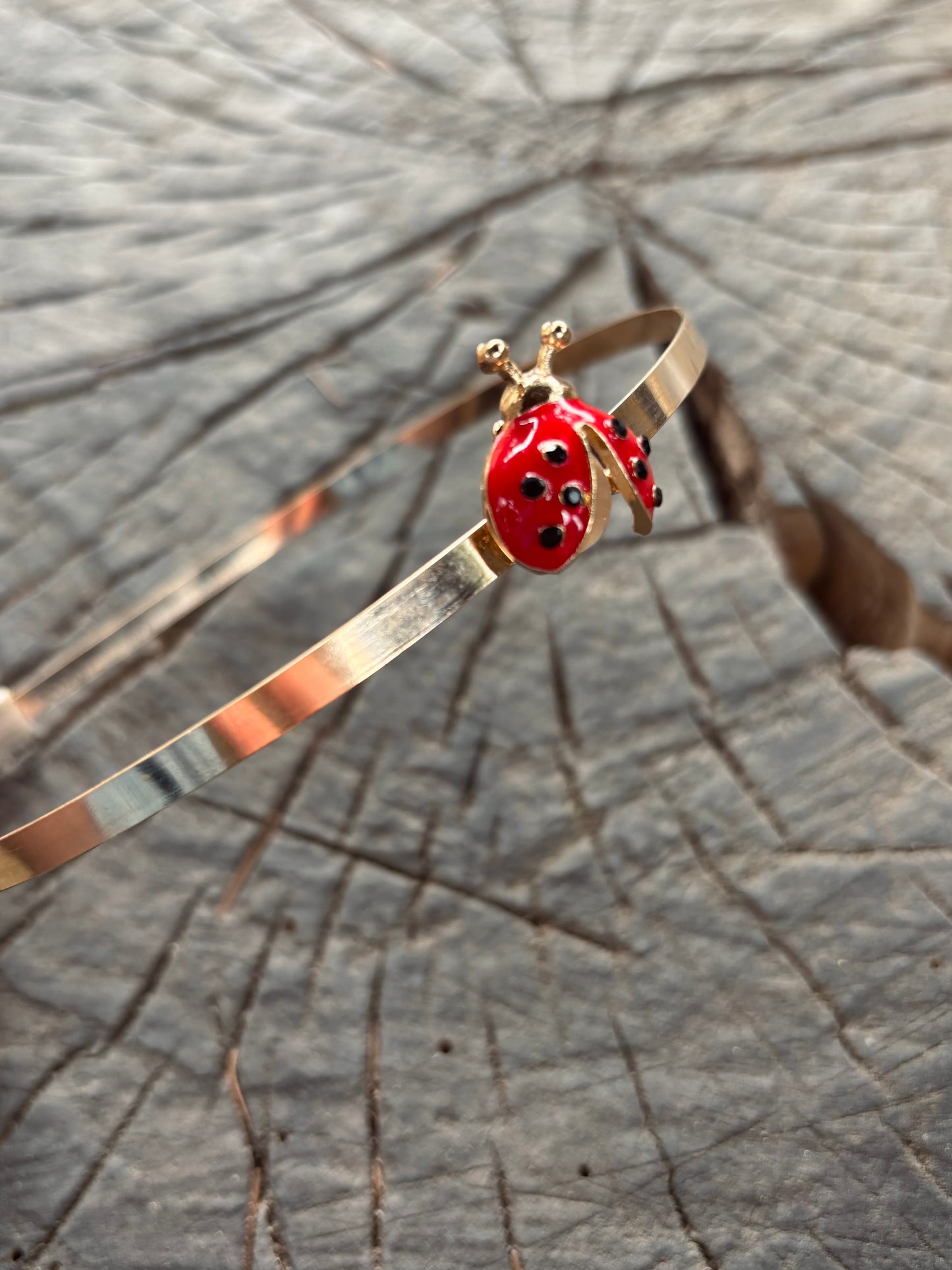 Gold headband with ladybug decoration