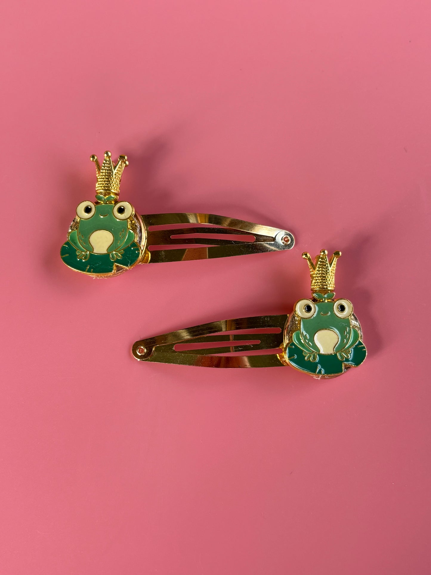 Rainbow Garden Buckles