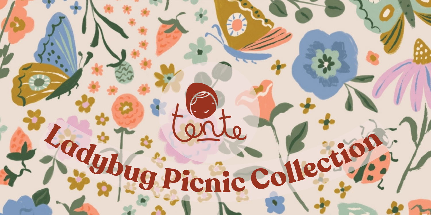 Ladybug Picnic