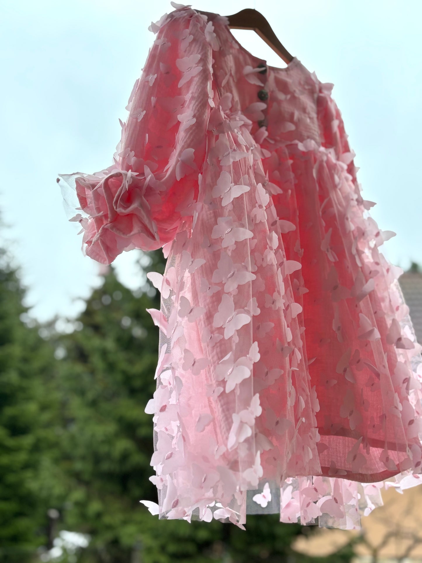 Fairy princess butterfly dress