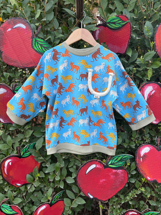 Csiribi cat's shirt